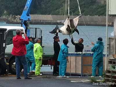 news_121009_2_5_photo