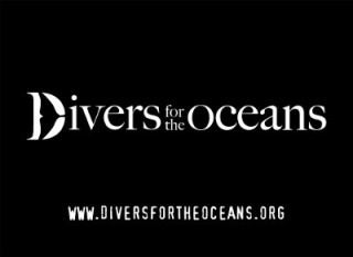 news-140709-1-1-logo-divers_big